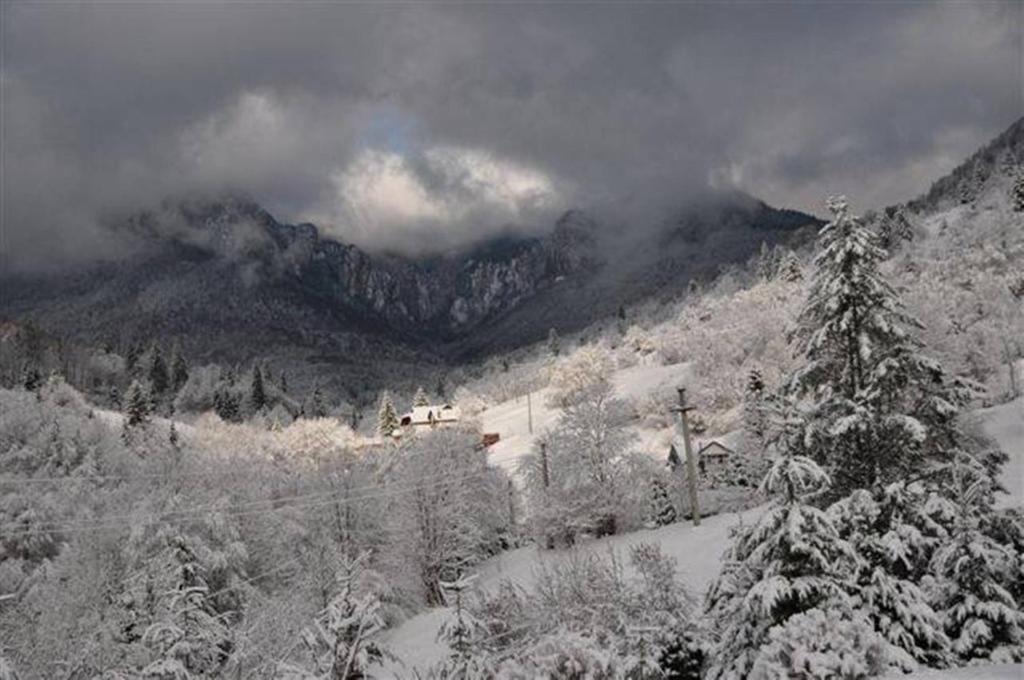 Pensiunea Aurora Izvorul Muntelui Bicaz Exterior photo