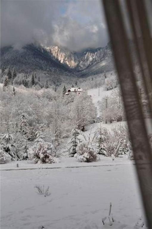 Pensiunea Aurora Izvorul Muntelui Bicaz Exterior photo